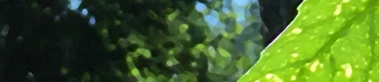 Stress Resiliency