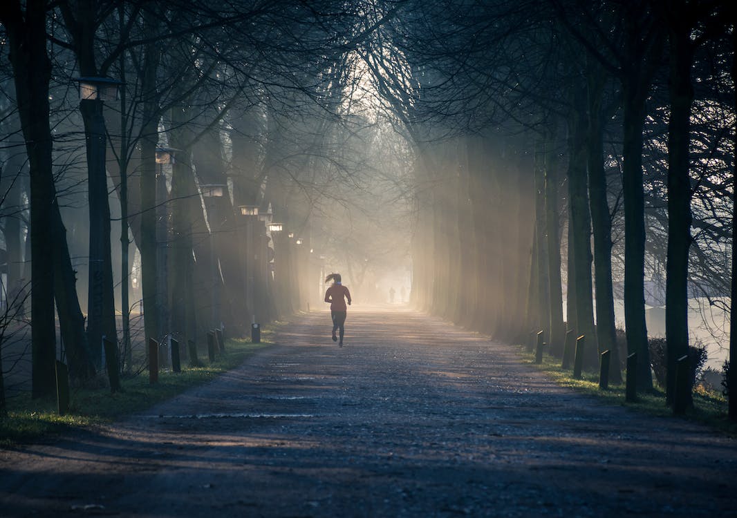 Person running between row of trees